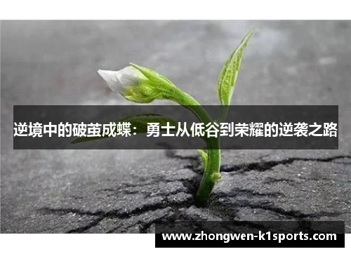 逆境中的破茧成蝶：勇士从低谷到荣耀的逆袭之路
